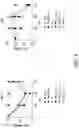 Fig. 05 - ONCOLYTIC VIRUSES TARGETING STAT3