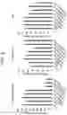 Fig. 10 - NOVEL COMPONENT FOR CONTROLLING BIOLOGICAL FUNCTION