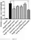 Fig. 06 - HERBAL COMPOSITION FOR PREVENTING OR TREATING BENIGN PROSTATIC HYPERPLASIA DISEASE