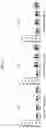 Fig. 03 - COMPOSITION FOR PREVENTING OR TREATING TINNITUS COMPRISING VITIS VINIFERA LEAF EXTRACT AS ACTIVE INGREDIENT