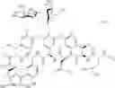 Fig. 02 - GLYCOPEPTIDE ANTIBIOTICS LIQUID FORMULATIONS AND METHODS AND USES THEREOF