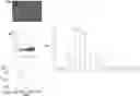 Fig. 01 - NOVEL ANTIMICROBIAL COMPOUND AND USES THEREOF
