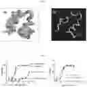 Fig. 06 - NOVEL ANTIMICROBIAL COMPOUND AND USES THEREOF