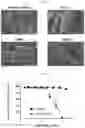 Fig. 08 - NOVEL ANTIMICROBIAL COMPOUND AND USES THEREOF