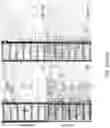 Fig. 107 - METHODS AND COMPOSITIONS FOR RESTORING STMN2 LEVELS