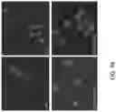 Fig. 108 - METHODS AND COMPOSITIONS FOR RESTORING STMN2 LEVELS
