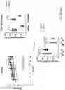 Fig. 114 - METHODS AND COMPOSITIONS FOR RESTORING STMN2 LEVELS