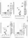 Fig. 119 - METHODS AND COMPOSITIONS FOR RESTORING STMN2 LEVELS