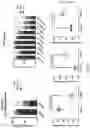 Fig. 125 - METHODS AND COMPOSITIONS FOR RESTORING STMN2 LEVELS