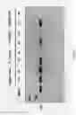 Fig. 132 - METHODS AND COMPOSITIONS FOR RESTORING STMN2 LEVELS