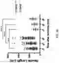 Fig. 22 - METHODS AND COMPOSITIONS FOR RESTORING STMN2 LEVELS