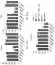 Fig. 44 - METHODS AND COMPOSITIONS FOR RESTORING STMN2 LEVELS