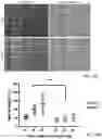 Fig. 50 - METHODS AND COMPOSITIONS FOR RESTORING STMN2 LEVELS