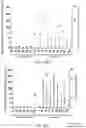 Fig. 71 - METHODS AND COMPOSITIONS FOR RESTORING STMN2 LEVELS