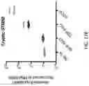 Fig. 74 - METHODS AND COMPOSITIONS FOR RESTORING STMN2 LEVELS
