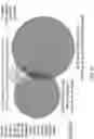Fig. 87 - METHODS AND COMPOSITIONS FOR RESTORING STMN2 LEVELS