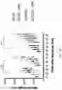 Fig. 97 - METHODS AND COMPOSITIONS FOR RESTORING STMN2 LEVELS
