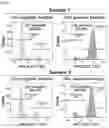 Fig. 02 - IMMUNOPOTENTIATING OR ANTICANCER ACTIVITY-AUGMENTING COMPOSITION COMPRISING MAL-EXPRESSED STEM CELL LIKE MEMORY T CELL AS ACTIVE INGREDIENT