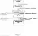 Fig. 10 - Reconstituted high density lipoprotein formulation and production method thereof