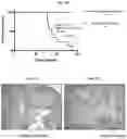 Fig. 13 - Compositions for treating pathological calcification conditions, and methods using same