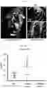 Fig. 17 - Compositions for treating pathological calcification conditions, and methods using same