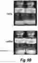 Fig. 14 - Methods and compositions for CNS delivery of heparan N-sulfatase