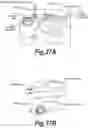 Fig. 40 - Methods and compositions for CNS delivery of heparan N-sulfatase