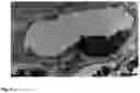 Fig. 02 - Method for the Treatment of a Disease Using Pigment Epithelium-Derived Factor (PEDF)