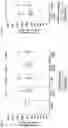 Fig. 02 - TUMOR CELL VACCINES