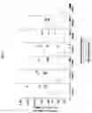 Fig. 04 - TUMOR CELL VACCINES