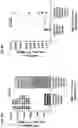 Fig. 09 - TUMOR CELL VACCINES