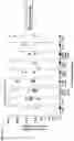 Fig. 14 - TUMOR CELL VACCINES