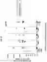 Fig. 17 - TUMOR CELL VACCINES