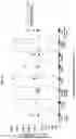 Fig. 18 - TUMOR CELL VACCINES