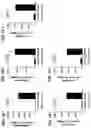Fig. 21 - TUMOR CELL VACCINES
