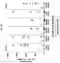 Fig. 25 - TUMOR CELL VACCINES