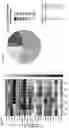 Fig. 26 - TUMOR CELL VACCINES