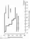 Fig. 21 - CANCER THERAPY