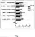 Fig. 05 - METHOD FOR THE SAFE INDUCTION OF IMMUNITY AGAINST RSV