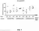 Fig. 08 - METHOD FOR THE SAFE INDUCTION OF IMMUNITY AGAINST RSV