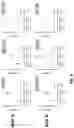 Fig. 10 - METHOD FOR THE SAFE INDUCTION OF IMMUNITY AGAINST RSV