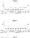 Fig. 12 - METHOD FOR THE SAFE INDUCTION OF IMMUNITY AGAINST RSV