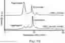 Fig. 04 - SARS-CoV-2 antigens and uses thereof