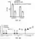 Fig. 11 - SARS-CoV-2 antigens and uses thereof