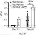 Fig. 13 - SARS-CoV-2 antigens and uses thereof