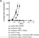 Fig. 01 - COMPOUNDS USEFUL AS ADJUVANTS