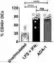 Fig. 01 - Compositions and methods employing adenosine deaminase-1 (ADA-1) as an adjuvant