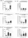 Fig. 06 - Compositions and methods employing adenosine deaminase-1 (ADA-1) as an adjuvant