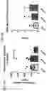 Fig. 07 - Compositions and methods employing adenosine deaminase-1 (ADA-1) as an adjuvant
