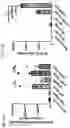 Fig. 21 - Compositions and methods employing adenosine deaminase-1 (ADA-1) as an adjuvant